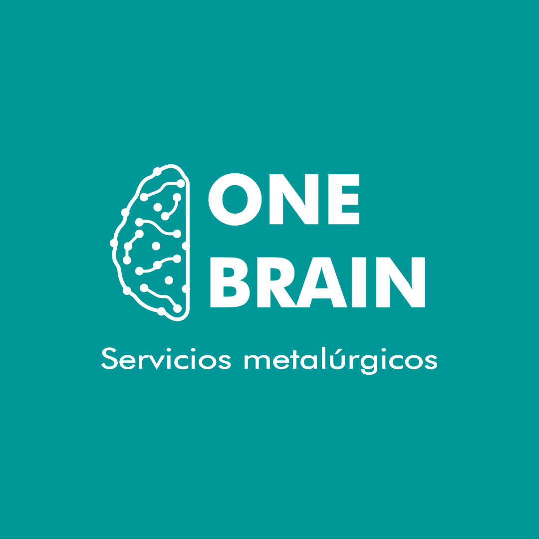 OneBrainSolutions